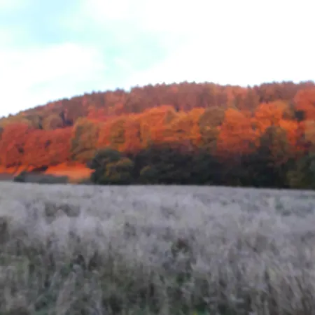 Am Vogler Lejlighed Holenberg