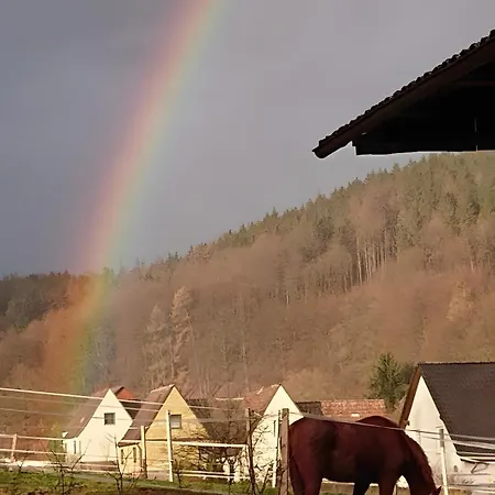 Am Vogler شقة Holenberg