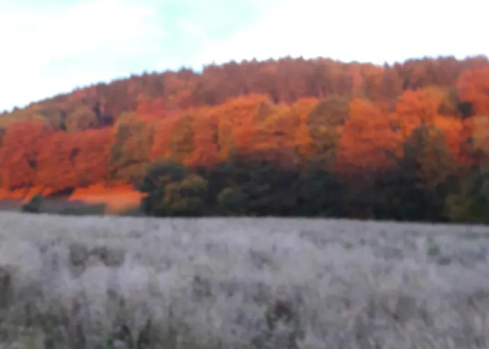 Am Vogler Apartamento Holenberg